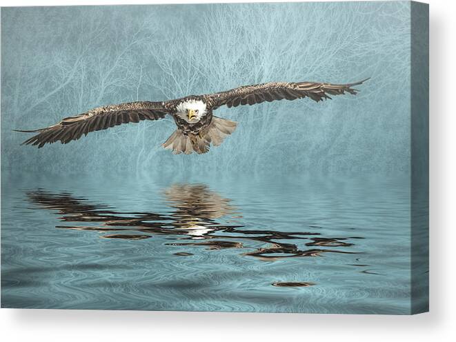 Bald Eagle Canvas Print featuring the photograph Eagle on Misty Lake by Brian Tarr