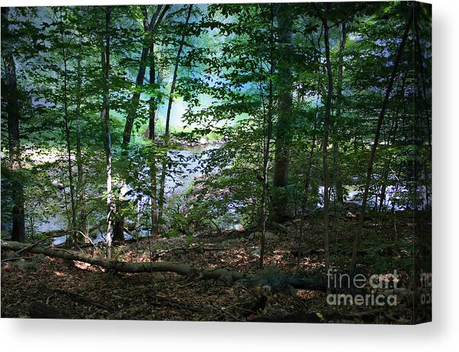 Woods Canvas Print featuring the photograph Early Morning Mist by Judy Palkimas