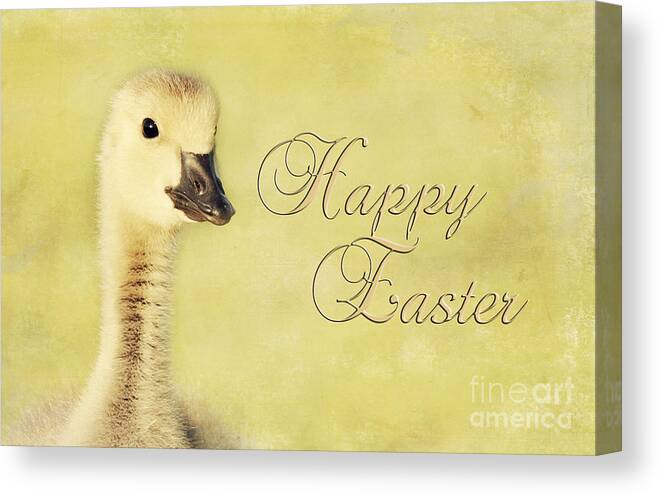 Easter Canvas Print featuring the photograph Easter Gosling by Pam Holdsworth