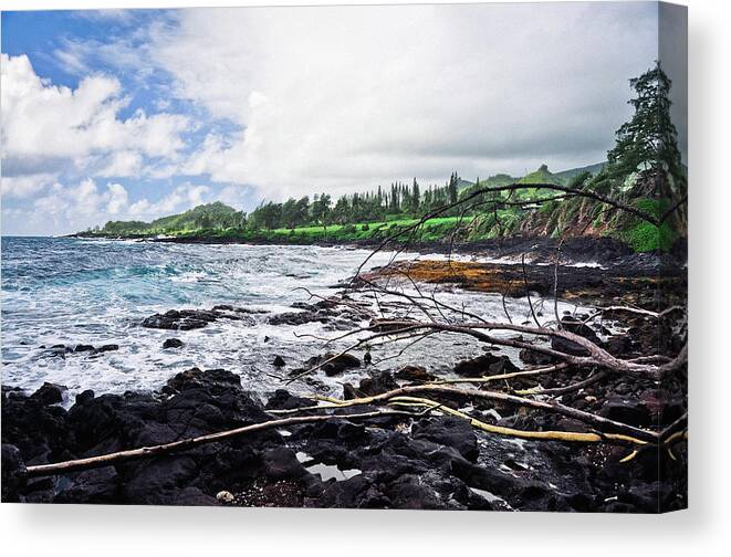 Coastline Canvas Print featuring the photograph Eastern Shore Of Maui by Blake Burton