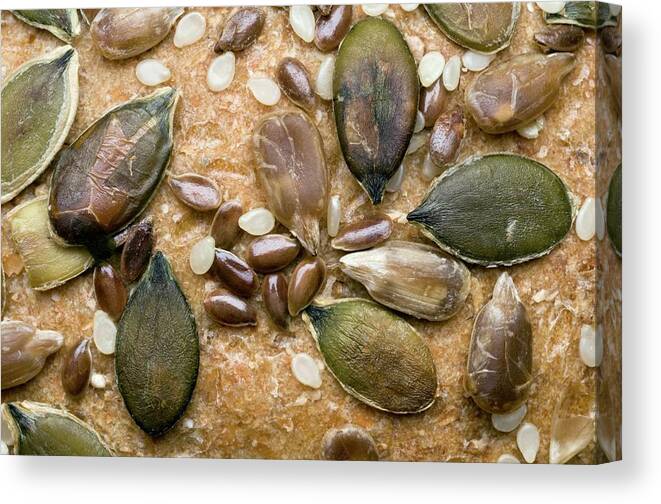 Pumpkin Canvas Print featuring the photograph Edible Seeds by Sinclair Stammers/science Photo Library
