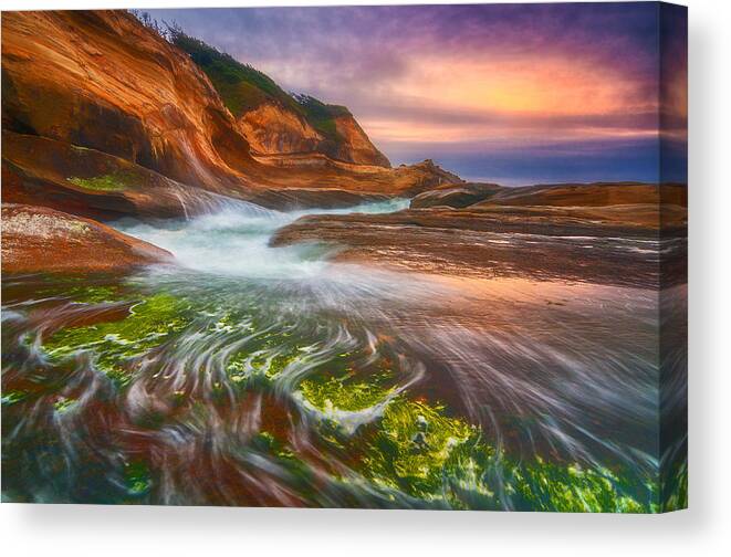 Sunset Canvas Print featuring the photograph Eel Grass Sunset by Darren White