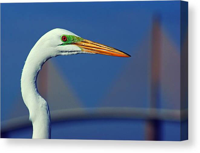 Sunshine Skyway Canvas Print featuring the photograph Egret and Skyway II by Daniel Woodrum