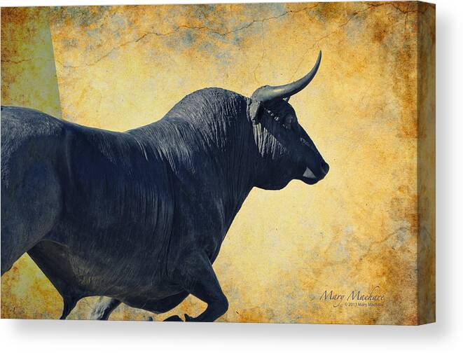 El Toro Canvas Print featuring the photograph El Toro by Mary Machare