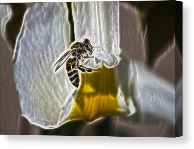 Bee Canvas Print featuring the digital art Electric Bee by Photographic Art by Russel Ray Photos