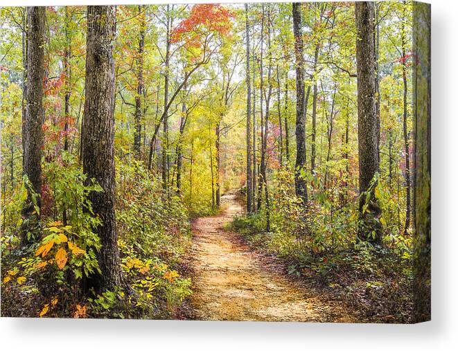 Appalachia Canvas Print featuring the photograph Elfin Forest by Debra and Dave Vanderlaan