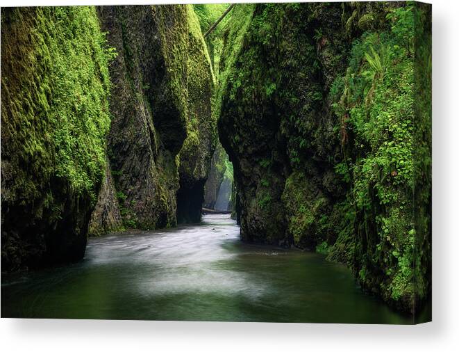 Scenics Canvas Print featuring the photograph Emerald Canyon by Chris Moore - Exploring Light Photography