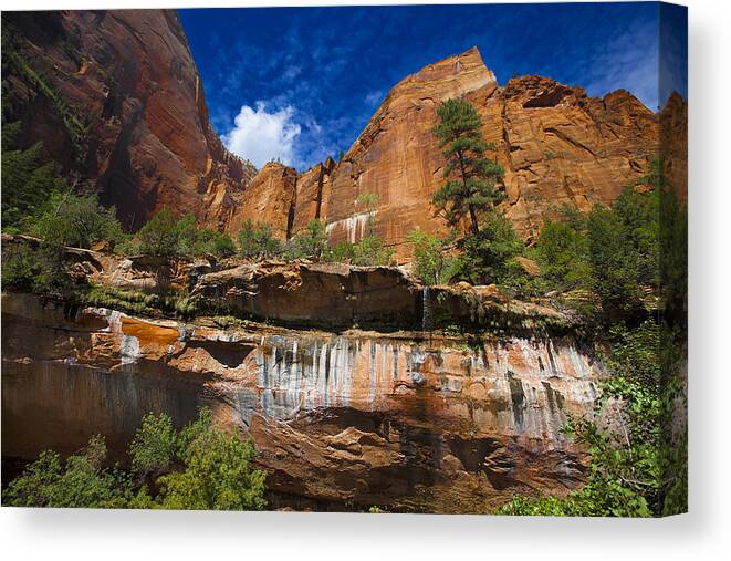 Landscape Canvas Print featuring the photograph Emerald Pools Falls Zion Park #1 by Richard Wiggins