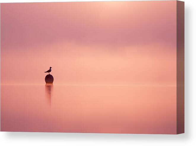 Sunrise Canvas Print featuring the photograph Empty Spaces by Roeselien Raimond