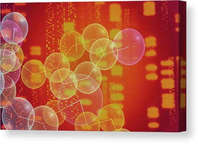 Brain Peptide Canvas Print featuring the photograph Encephalin Peptide by Alfred Pasieka/science Photo Library