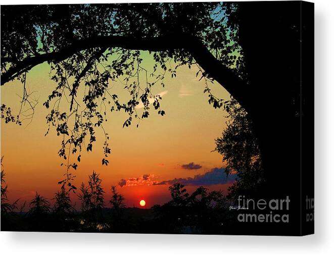 Sunset Canvas Print featuring the photograph End of the Day by Yumi Johnson