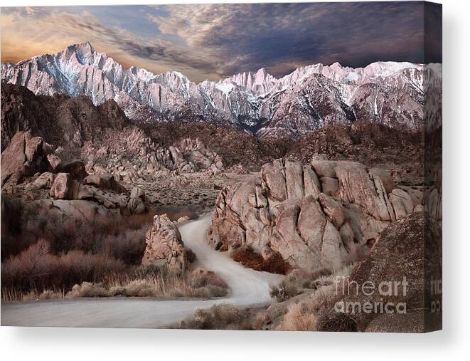 Desert Canvas Print featuring the photograph Escape by Alice Cahill