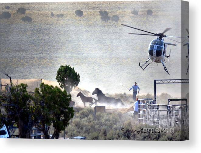 Horse Canvas Print featuring the photograph Escape from Butte Valley Trapsite Triple B by Afroditi Katsikis