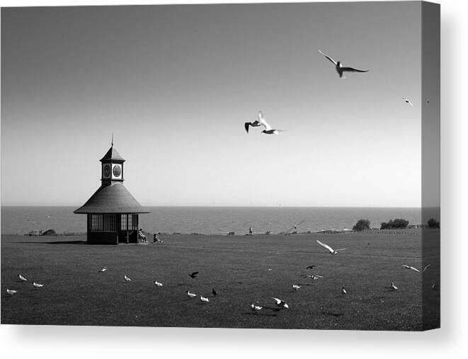 Gull Image Print Canvas Print featuring the photograph Esplended Gulls by David Davies