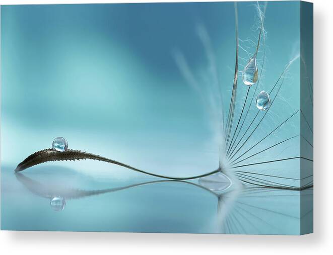 Blue Canvas Print featuring the photograph Essence Of Life by Rina Barbieri