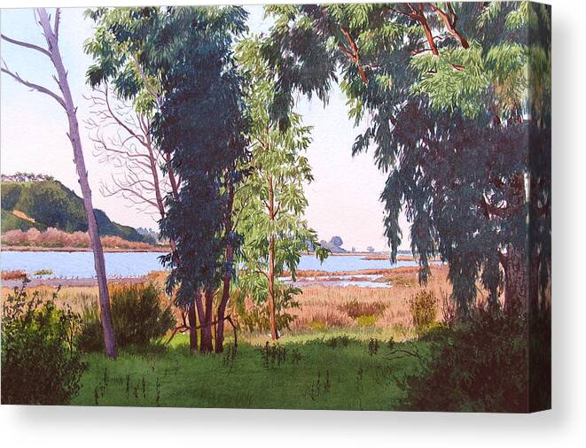 Batiquitos Canvas Print featuring the painting Eucalyptus Trees at Batiquitos Lagoon by Mary Helmreich