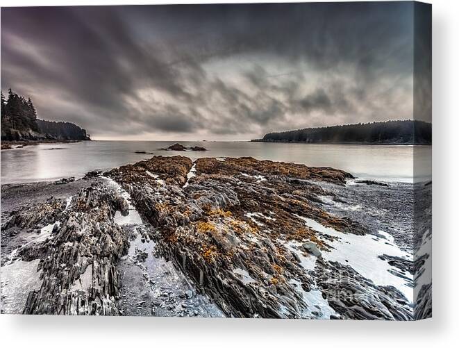Nature Canvas Print featuring the photograph Evening at Mill's Bay by Steven Reed