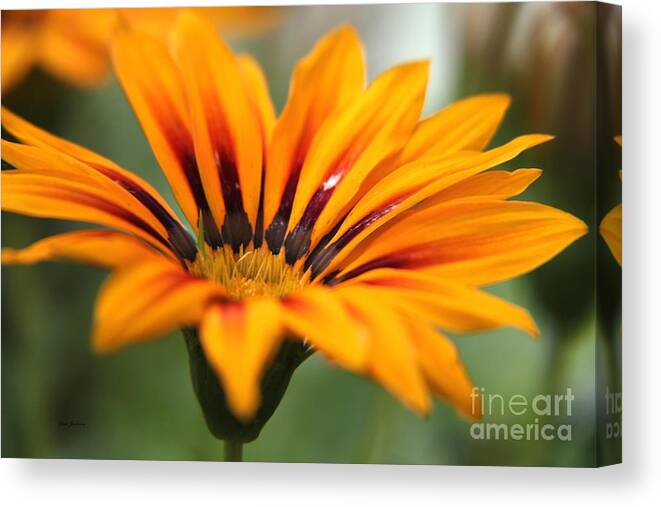 Flowers Canvas Print featuring the photograph Exotic Flower by Yumi Johnson