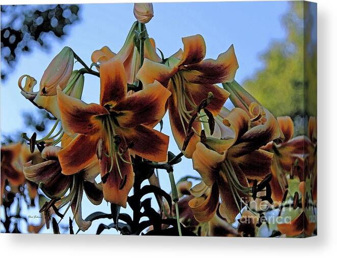 Lilies Canvas Print featuring the photograph Exotic lilies by Yumi Johnson