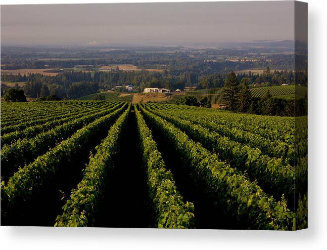 Scenics Canvas Print featuring the photograph Exploring Oregons Wine Country by George Rose