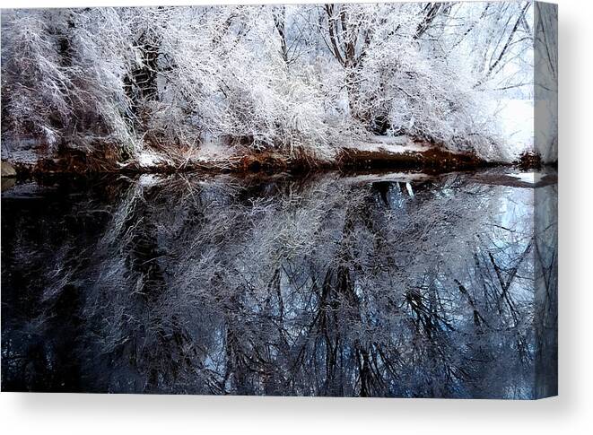 Outdoors Canvas Print featuring the photograph Extreme Reflections by Steven Milner