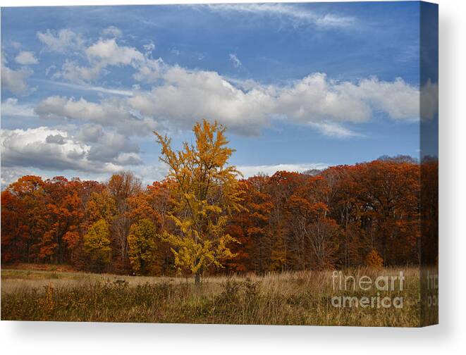 Fall Canvas Print featuring the photograph Fall Brilliance by Terry Rowe