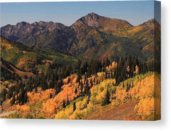 Cottonwood Canyon Canvas Print featuring the photograph Fall Colors in Big Cottonwood Canyon by Richard Cheski