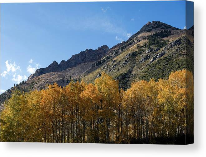 Scenics Canvas Print featuring the photograph Fall Colors In The Sierra Nevada by Kevinjeon00