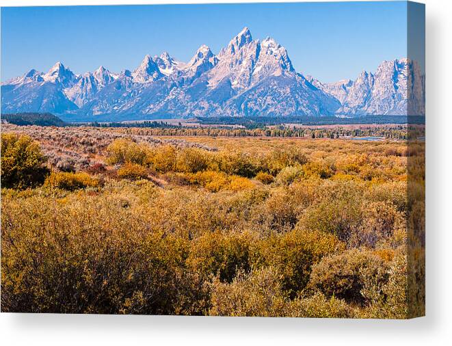 Tetons Canvas Print featuring the photograph Fall Colors in the Tetons  by Lars Lentz