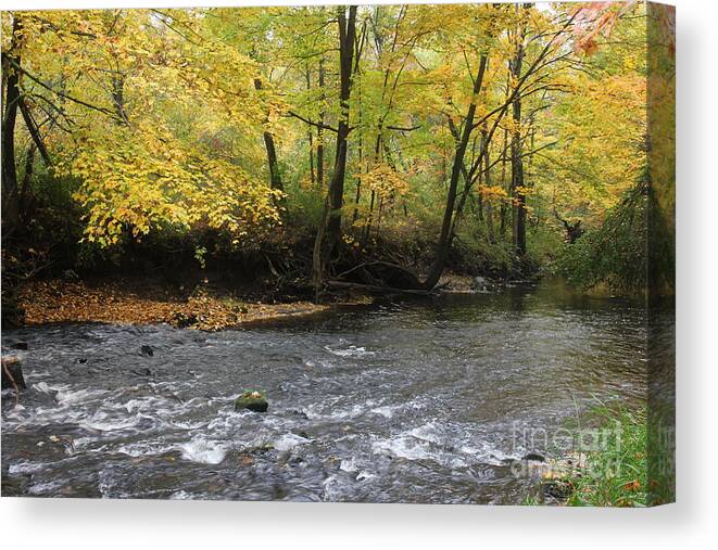 Fall Flow Canvas Print featuring the photograph Fall flow by Jim Gillen