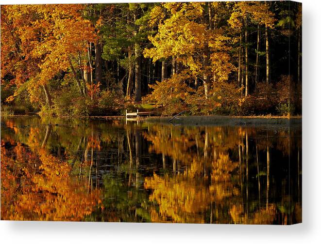 Fall Foliage Canvas Print featuring the photograph Fall Foliage Dock by Liz Mackney