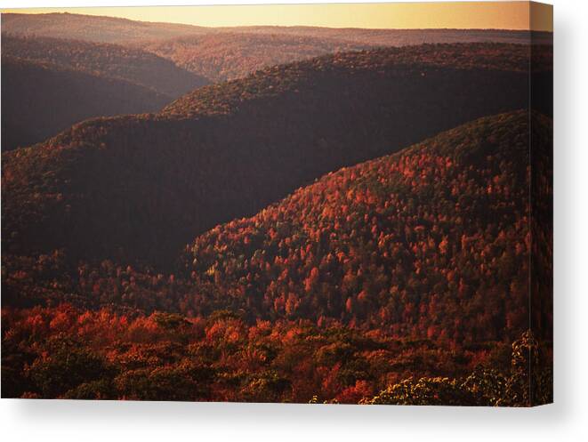 Sullivan County Canvas Print featuring the photograph Fall foliage Endless Mountains Pennsylvania by Blair Seitz