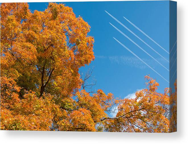 Tree Canvas Print featuring the photograph Fall Foliage with Jet Planes by Tom Mc Nemar