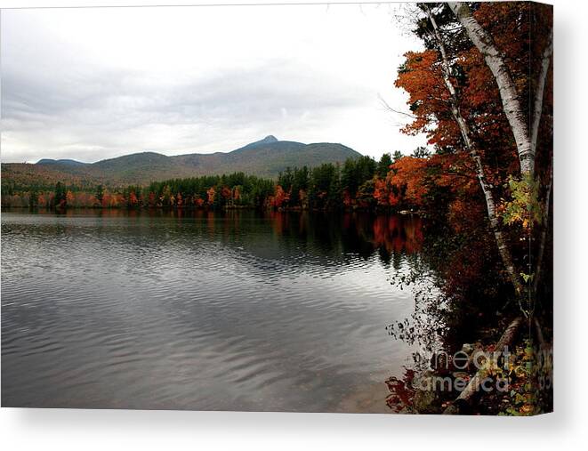 Fall Canvas Print featuring the photograph Fall Reflection II by Christiane Schulze Art And Photography