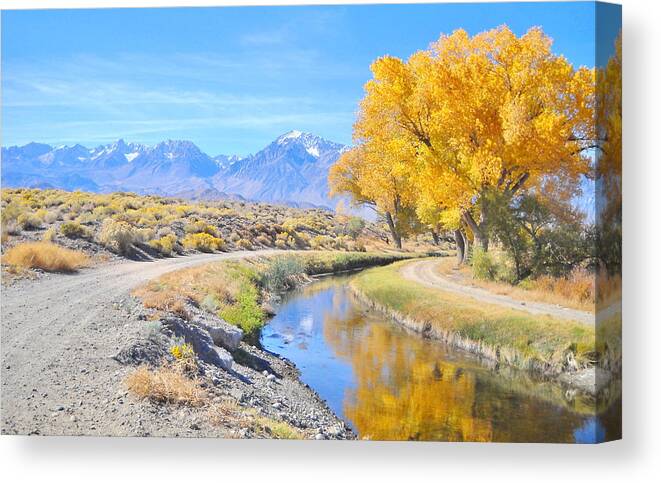 Fall Canvas Print featuring the photograph Fall Reflections by Marilyn Diaz