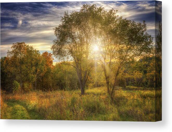 Tree Canvas Print featuring the photograph Fall sunset - Retzer Nature Center - Waukesha Wisconsin by Jennifer Rondinelli Reilly - Fine Art Photography