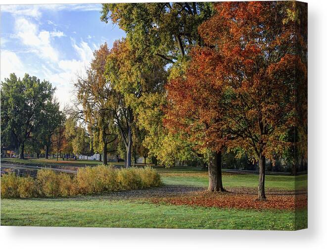 Fallen Leaves Canvas Print featuring the photograph Fallen Leaves by Richard Gregurich