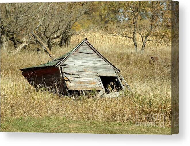 Barn Canvas Print featuring the photograph Falling down by Lori Tordsen