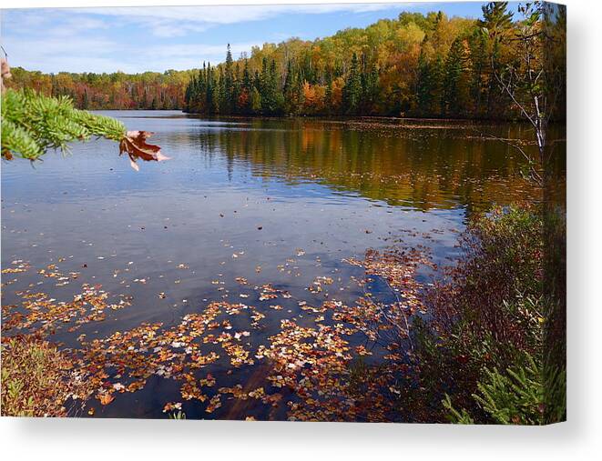 Lake In Autumn Colors Canvas Print featuring the photograph Falling Leaves #2 by Sandra Updyke