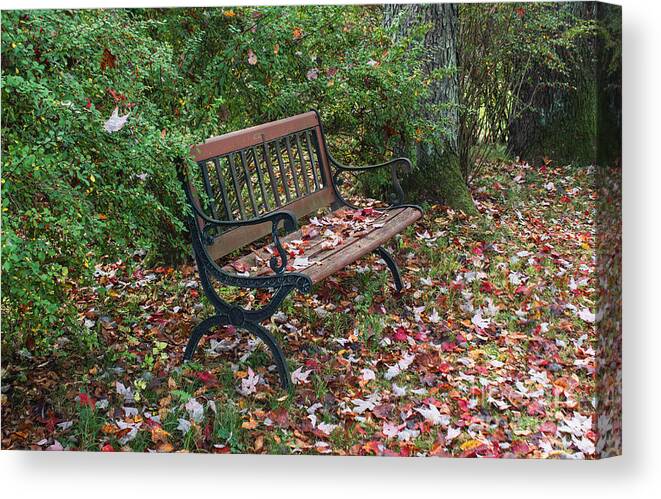 Autumn Canvas Print featuring the photograph Falling Leaves by Arlene Carmel