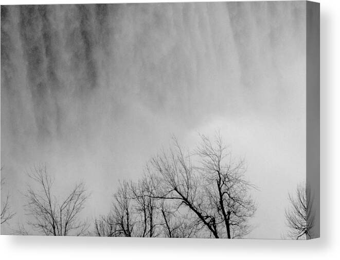 Trees Canvas Print featuring the photograph Falls Over Trees Two by Annie DeMilo