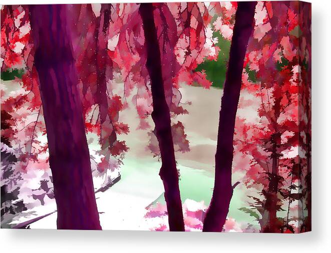 Forest Canvas Print featuring the photograph Fantasy Forest by Bonnie Bruno