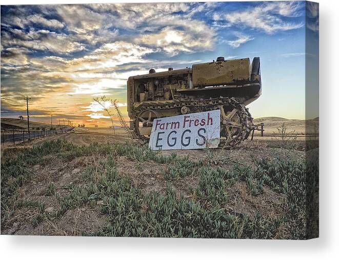 Tractor Canvas Print featuring the photograph Farm Fresh Eggs by Robin Mayoff