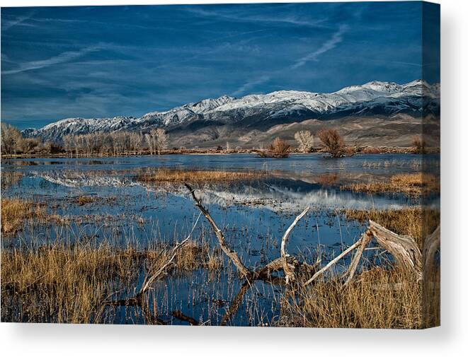 Pond Canvas Print featuring the photograph Farmers Pond by Cat Connor