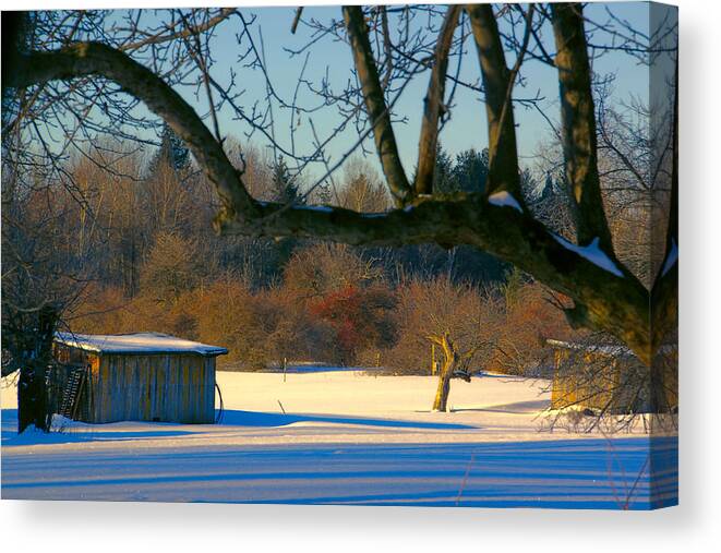 Winter Canvas Print featuring the photograph February Morn by Gerald Salamone