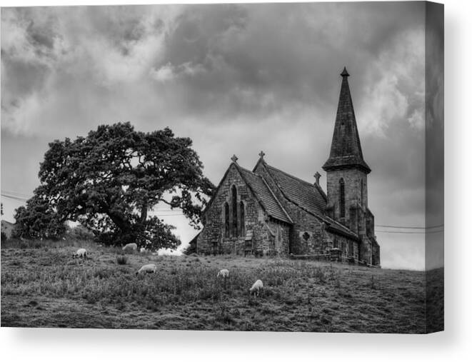Black & White Canvas Print featuring the photograph Fewston Church and Sheep by Dennis Dame
