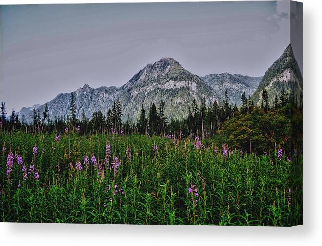 Big Four Canvas Print featuring the photograph Field Of Dreams by Kelly Reber