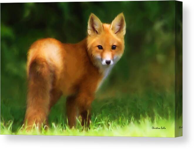 Fox Canvas Print featuring the painting Fiery Fox by Christina Rollo