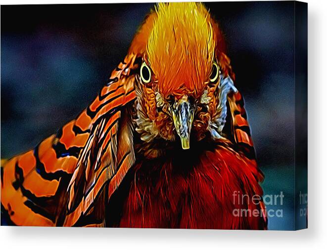 Poster Canvas Print featuring the digital art Fiery Pheasant by Ray Shiu