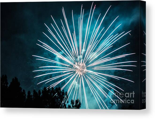 Firework Canvas Print featuring the photograph Fire Flower by Suzanne Luft